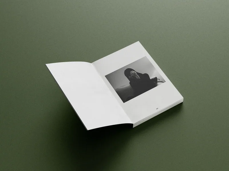 o retrato da fotografia brasileira — imagem 2