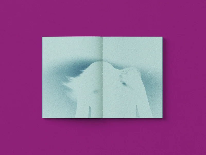 vestígios — imagem 4